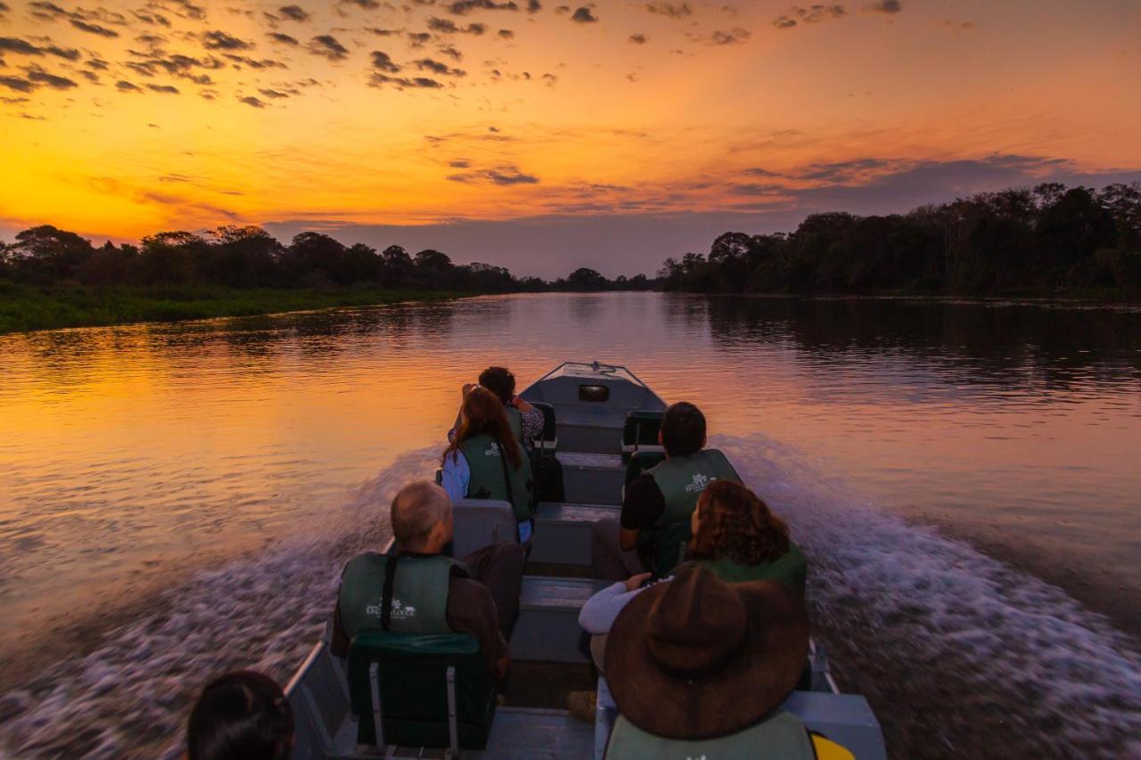 Pantanal Jungle Lodge Passo do Lontra Extérieur photo