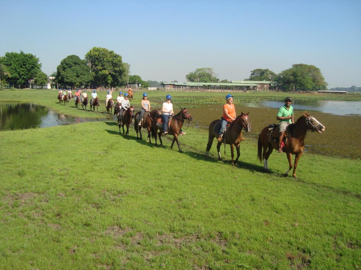 Pantanal Jungle Lodge Passo do Lontra Extérieur photo