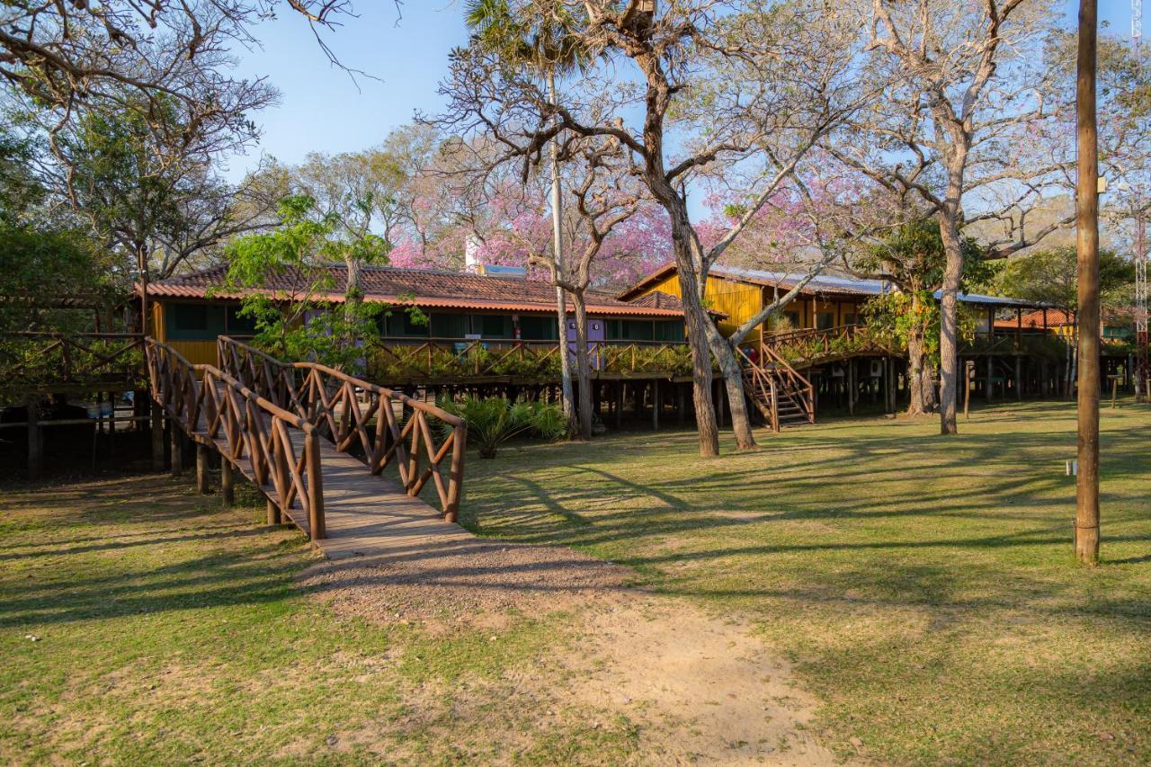 Pantanal Jungle Lodge Passo do Lontra Extérieur photo