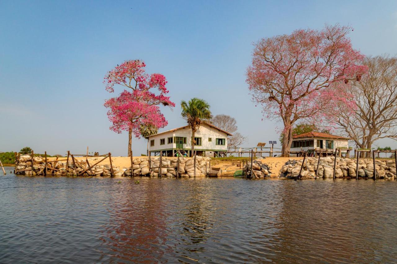 Pantanal Jungle Lodge Passo do Lontra Extérieur photo